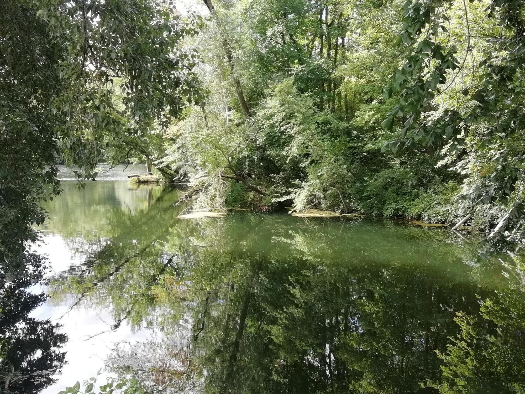 Studio Au Coeur De La Vallee De La Loire Azay-sur-Cher Ngoại thất bức ảnh